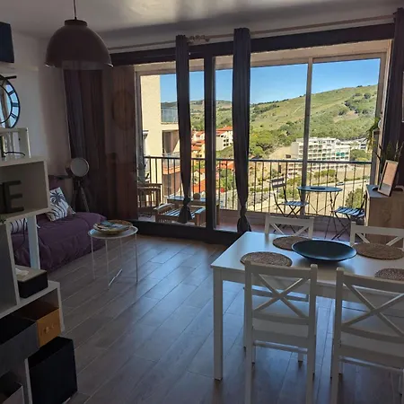 Grand Avec Vue Sur La Et Parking * Banyuls-sur-Mer